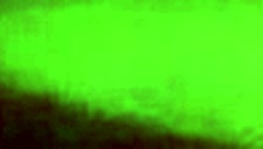 Why is she sucking that monster like a total slut?