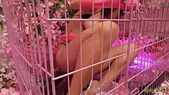 i'm teasing this crazy whore jesse with anal assfucking and deepthroat until her holes get wrecked in the pink room ep 10