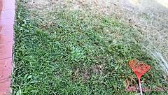 i got my stepsister all wet after she skipped cleaning the garden