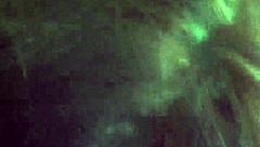 Intense Blowjob From Stunning Shemale In Steamy Encounter