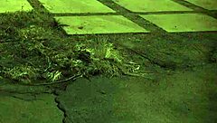 I feel such intense pain and thrill from this rough sodomy BDSM session that takes me back unless you're from the sixties