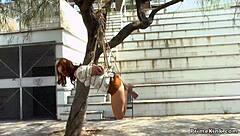 naked euro slave bound in bondage gets dominated and fucked hard in public outdoor flashing