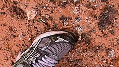 i got velma filled with multiple creampies from that big black cock for halloween.