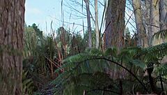 Pearl 2022 Safada Caindo Na Vara Do Espantalho Pauzudo