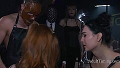 so, are all these pornstars diving into a wild orgy together?