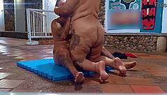 Hey, check out this wild stepmom banging her stepson's swim teacher right on the academy floor!