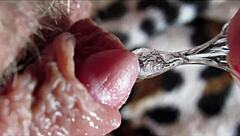 Huge clit orgasm in closeup with oral action