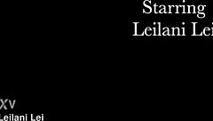 the petite mature milf in black lingerie and nylon stockings poses elegantly in heels for the stocking worship trailer