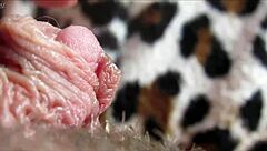 Huge clit orgasm in closeup with oral action