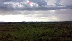 This Young Babe Knows Exactly What To Do With That Huge Cock Just Take A Look At Her Deepthroat And Doggystyle Skills