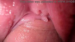 i'm pounding my teen stepsister hard in rough quickie roleplay until i creampie deep inside her tight pussy