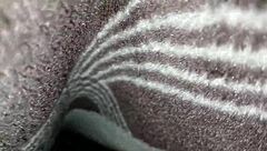 I sneaked in and fucked my stepsis's juicy pussy at night