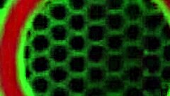 sara jay strips naked and fucks her huge glass dildo hard