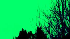 Stepmom's Lesbian Play Turns into Wild Foursome Orgy Frenzy