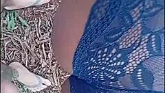 brazilian girl asks to suck her friend's dick