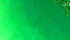 i brought neighbor flowers now she's grinding pussy on my face til she flies off cumming 🌸💦👅