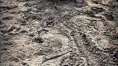 Stranger Sucks My Huge Cock on Beach!