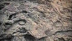 Stranger Sucks My Huge Cock on Beach!