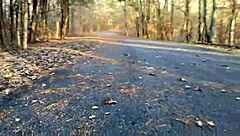 clitlicker662 flashes and orgasms outdoors in forest update 21 img 1257