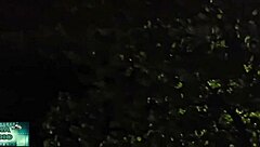 dream or panic with this milf mommy on halloween night flashing her big ass and pussy?