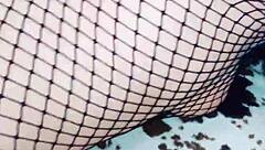 skinny homemade latina milf rides pov with natural tits bouncing