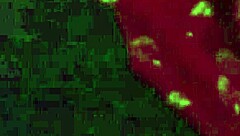 why punish me daily with stepson cock in my tight pussy and ass indian aunty calls friend for more?!