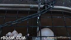 i own this brunette slave's fuck holes with my hardcore toys and bdsm toys