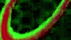 Blonde Luscious Kisses, feel Rome Major fuck your pussy and ass hard now.