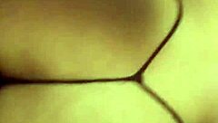 that bbw latina milf cupcake struts in her sexy thong showing off curves