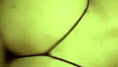 that bbw latina milf cupcake struts in her sexy thong showing off curves