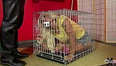 scott rhodes blasts cum on maxine x's lips after hardcore ass fuck