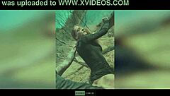 danique sinners' dutch milf pussy creampied bareback outdoors by huge cock