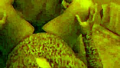 did that single big dick guy bend you over at the party and pound your latina wife ass doggystyle on holiday?