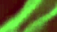 Wow! Kylei Ellish chugs massive cum load after sloppy POV deepthroat blowjob!