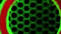 Spectacle slut jay taylor rides big cock interracial you watching?