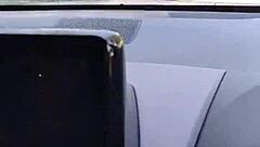 Ever pulled over just to finger your wet pussy in a public layby?