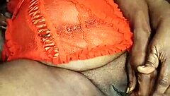 nigarchrist drops update 1384 with petal on june 11th