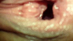 i love shaking my big ass for you tmt