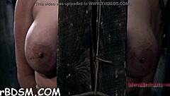 Bound Horny European Slut Gets Rough Pussy Fucked and Sucked Hardcore