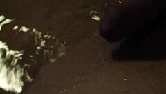 dude, ever tried pissing in the bathtub like this wild pool fun?