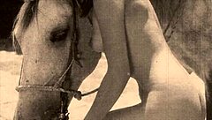 Dark Lantern Entertainment Presents Antique Retro Vintage Natural Hairy Collection