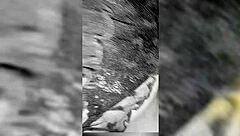 you gave me lingerie now take my tight asian ass pounding hard right here