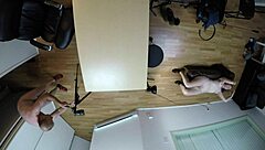 Audrey Decker Gags on Cock in Extreme Deepthroat Casting POV