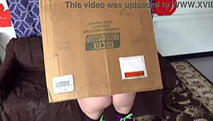 स्टोरीलाइन